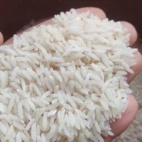 برنج هاشمی به شرط پخت میدم