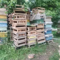 رمکه  کوچک مربع 15 جعبه