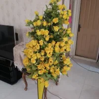 گل رز