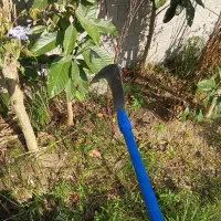 علف تراشی با داس