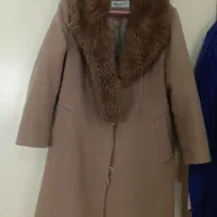 پالتو