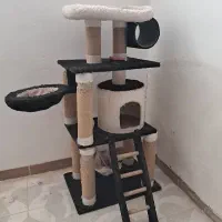 اسکراچر گربه
