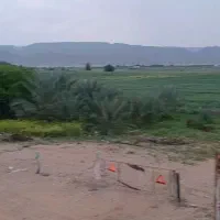 اجاره زمین کشاورزی در منطقه گراش