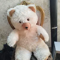 خرس بزرگ