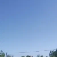 به یک نشا کار نیازمندم