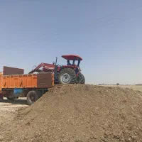 کود مرغی