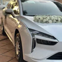 لونا برقی