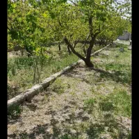 باغچه-چهار-دیواری-ملارد-لم-اباد-اسفند-آباد