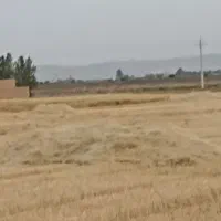 کاه کوبید شده گندم کمباین سر زمین بدنه خاک وسنگه