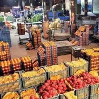 پخش تره‌بار از میدان برای رستوران و هتل و کترینگ
