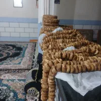 فروش عمده انجیر شیوند