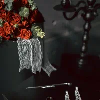 تصویر برداری حرفه ای مجالس روستا