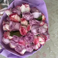 گل رز رنگی