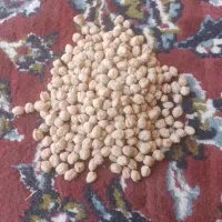 نخود درجه یک . کرمانشاهی .
