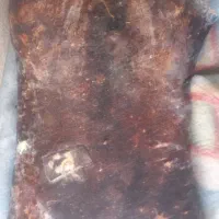 ماستینه