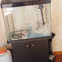 اکواریوم زیبا