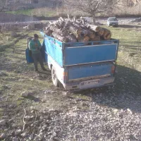 خرید و فروش چوب