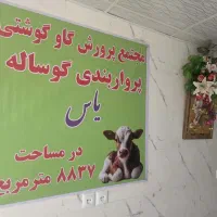 فروش گاوداری بزرگ صنعتی با زیر ساخت سائر فعالیتها