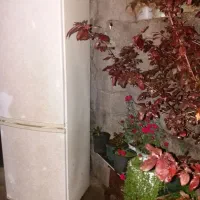 فروش یک عددفریزرهیمالیا