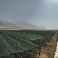 ساخت و اجرای گلخانه و باغ مدرن