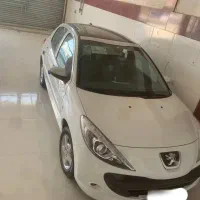 ۲۰۷ پاناروما  خشک