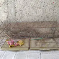 قفس پرنده