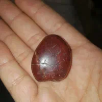 هبهاب مغربی