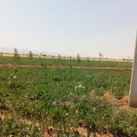 فروش-زمین-کشاورزی