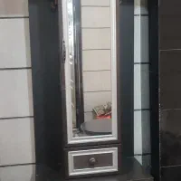 جاکفشی سالم