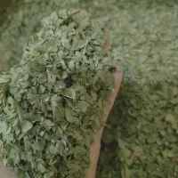 یونجه نرم شده اماده