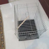 قفس ۱۰۳۲ و قفس پرورشی