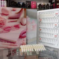 آلبوم ناخن مگنتی EM