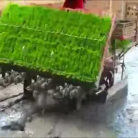 فروش دستگاه نشا