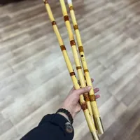 نی حرفه‌ای