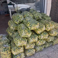 لیموترش