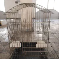 فروش قفس