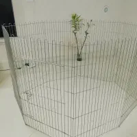 پارک بازی سگ