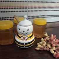 عسل ارگانیک مزرعه ما