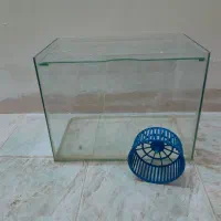 اکواریوم