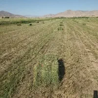 بسته یونجه