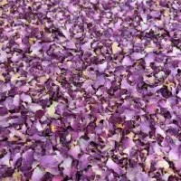 فروش گل خشک محمدی