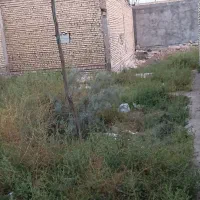 زمین-100-متری-در-کوی-مندلی