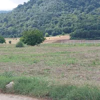 زمین-باغی