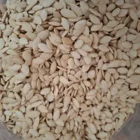 فروش عمده تخمه کدو گل افتاب مغز گردو تازه