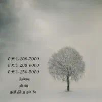 0991-208-6000|سیم‌کارت|نیشابور, دارایی|دیوار