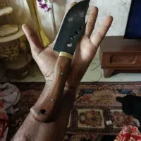 چاقو سگ پاکوتاه
