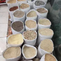 دان طیور، گندم