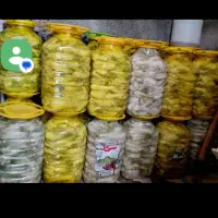 ترشی بیلهر