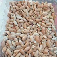 لوبیا رشتی ایرانی به شرط پخت
