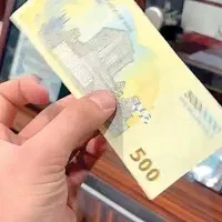 هدیه ببر
